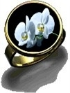 Ring rund (Orchideen)